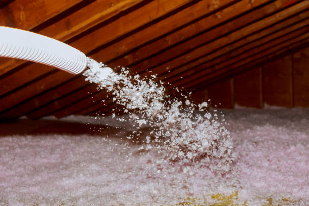 Best Blown-in Insulation  in Patterson Tract, CA